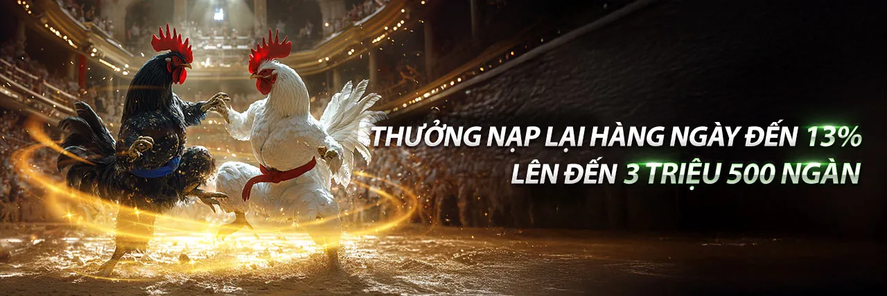 Sân đấu đá gà trực tuyến kịch tính trên TP88 App